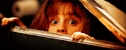 hidinggif_orig.gif