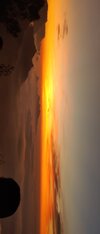 IMG_20240405_055825.jpg