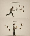 Attract.jpeg Attract.jpeg