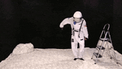 sml-astronaut.gif sml-astronaut.gif