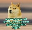 1000145491.jpg