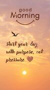1000225209.jpg