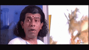 1000331568.gif