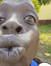fufu.gif