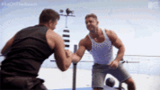 1000366288.gif 1000366288.gif