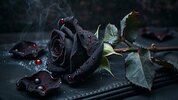 dark-beauty-withers-stockcake.jpg dark-beauty-withers-stockcake.jpg