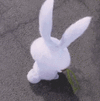 d2c528d61633b9afebabc0f6559314a7.gif
