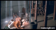 IMG_2752.gif