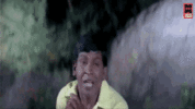 1000026460.gif 1000026460.gif