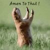 1000658890.gif