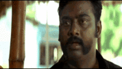 1000636370.gif