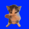 56ee8b6fc97a833ee4a509a2c5f0e119.gif