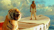 1000125028.gif