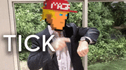 magapixel.gif