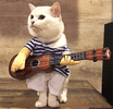 a1f58bea262ef2faf4c7282ea7e8af56.gif
