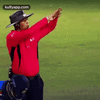 1000125768.gif