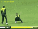 1000125767.gif