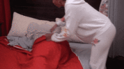 giphy (23).gif