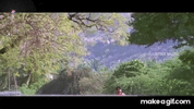 IMG_3585.gif