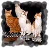 1000092502.gif