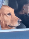 1792087325306.gif