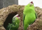 1792139817235.gif 1792139817235.gif