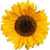 1000371405.gif