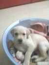 WhatsApp Image 2026-10-18 at 12.31.32.jpeg