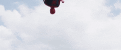 giphy (29).gif