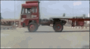 horse-slide.gif