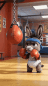 giphy (36).gif