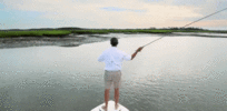 1792499780001.gif