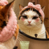 giphy (39).gif