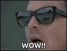funny-cat.gif
