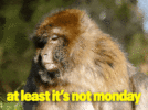 1792518842280.gif