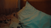 1792520230408.gif