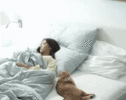 1792525612418.gif
