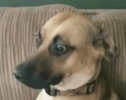 1792549773779.png