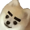 1000988227.gif