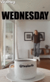 1792556275484.gif