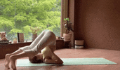 1000170230.gif