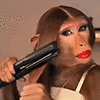 monkey-ai-monkey.gif