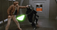 shortpersonfight-minidarthvador.gif