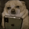 1000127492.gif