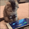 1792595408352.gif