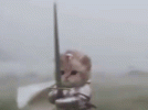1000127525.gif