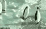 1000170389.gif
