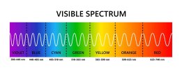 visible-light-spectrum-optical-light-wavelength-electromagnetic-visible-color-spectrum-for-hum...jpg