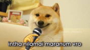 1792651818247.png
