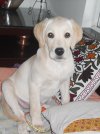 DSCN0511.JPG